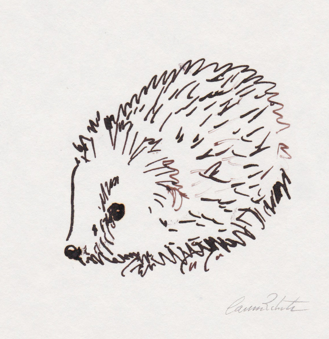 Inktober Day 2- Hedgehog signed © 2016 Carina Roberts Illustration.jpg