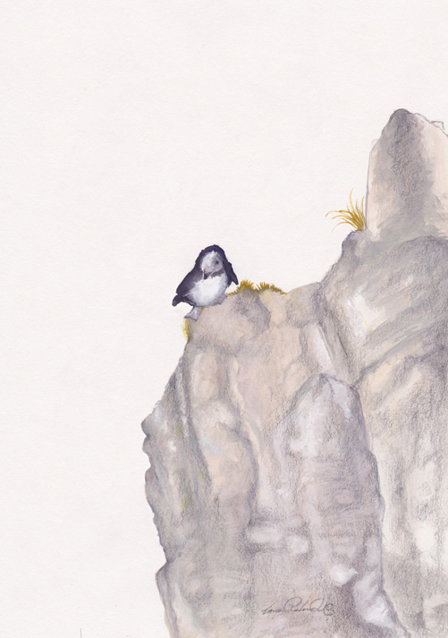 Good Luck, Puffling! (Low Res) signed © 2017 Carina Roberts Illustration.jpg