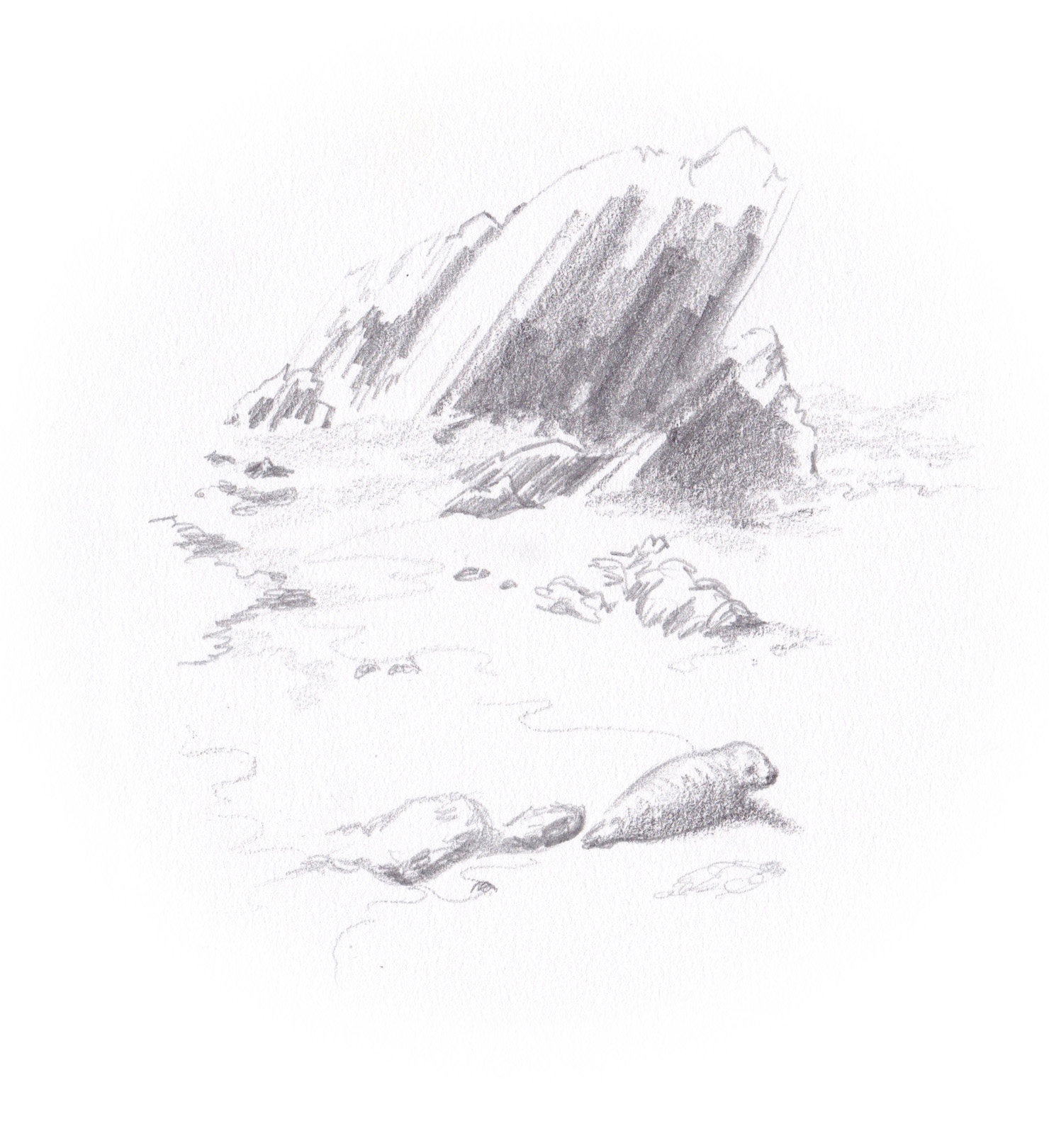 Marloes Seals (Gaussian Blur) © 2018 Carina Roberts Illustration